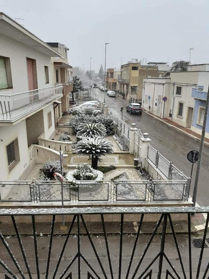 Foto: Neve 2021 - Immagine 3