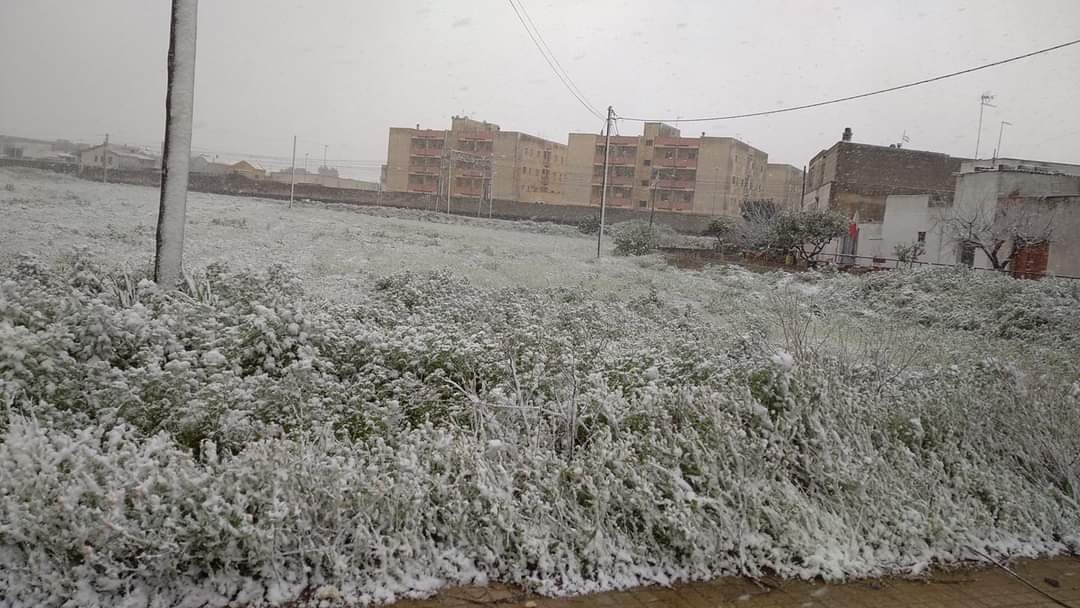 Foto: Neve 2021 - Immagine 4