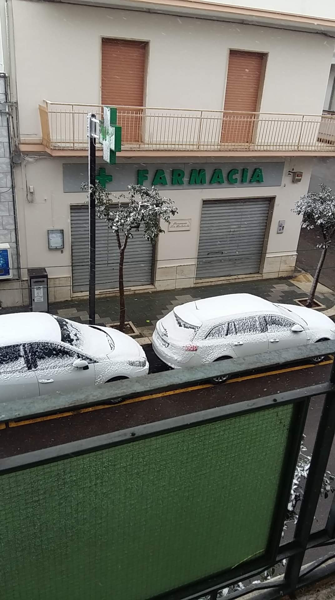 Foto: Neve 2021 - Immagine 5