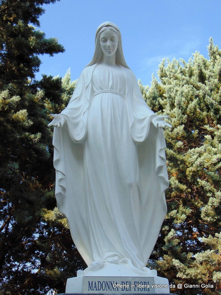 Foto: Foto Offerta Da Golia - Immagine 11