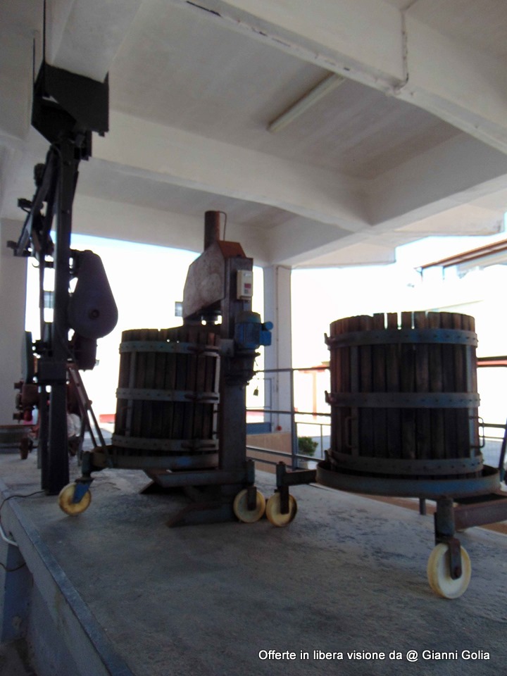 Foto: Foto Offerta Da Golia - Immagine 126